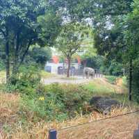 Step into the land of ecological areas