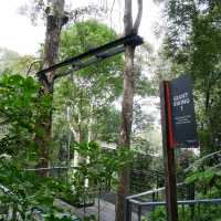Close to Nature