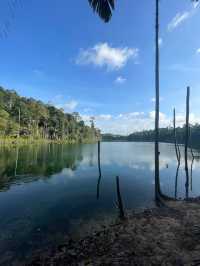  Setia Alam Community Forest 🍃✨