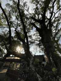 国宝　青井阿蘇神社　【熊本県人吉市】