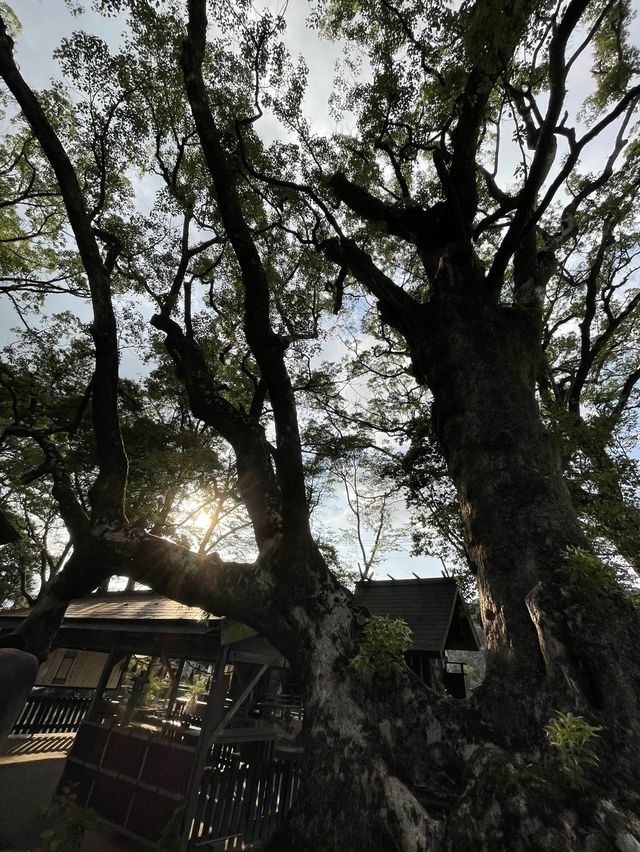 国宝　青井阿蘇神社　【熊本県人吉市】