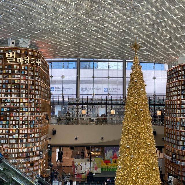 코엑스 맛집 🖤 딤딤섬 🥹✨