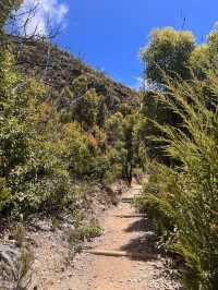 Sterling Ranges! Bluff Knoll Worthy Hike!😎