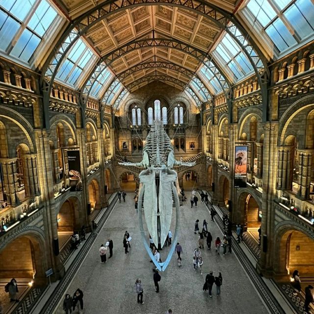 London Natural History Museum 🖼️