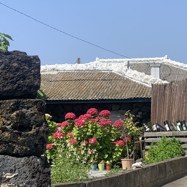 제주도의 낮