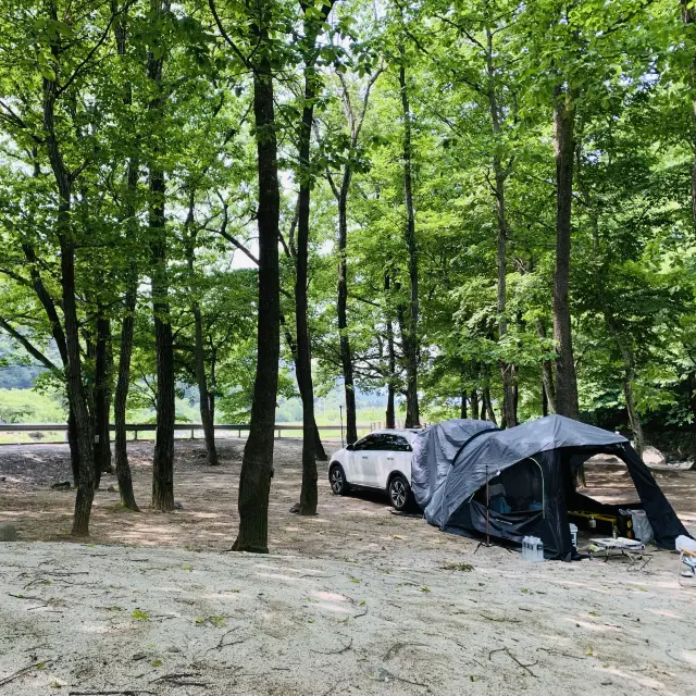 여름 캠핑은 지리산 계곡과 함께~💙