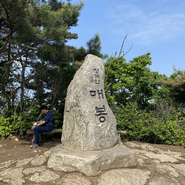 서울 청계산: 제대로 운동하러 가고 싶을 땐 청계산으로