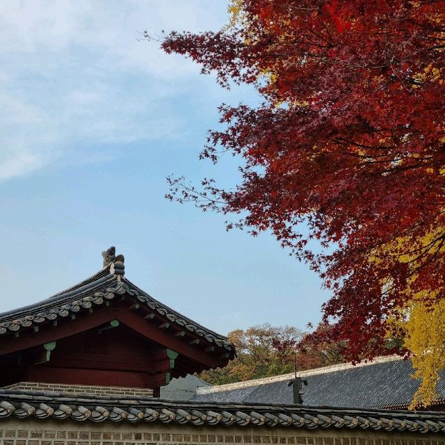 서울 단풍명소 : 종묘
