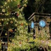 Christmas Light at Botanical Garden