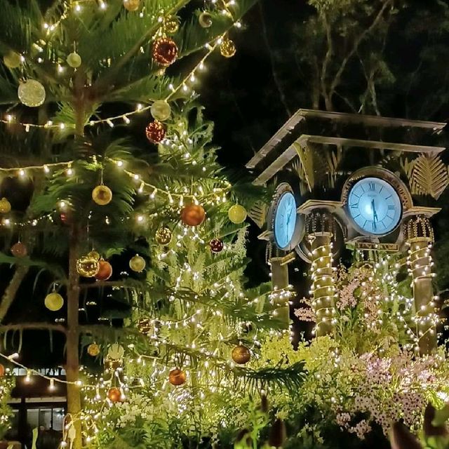 Christmas Light at Botanical Garden