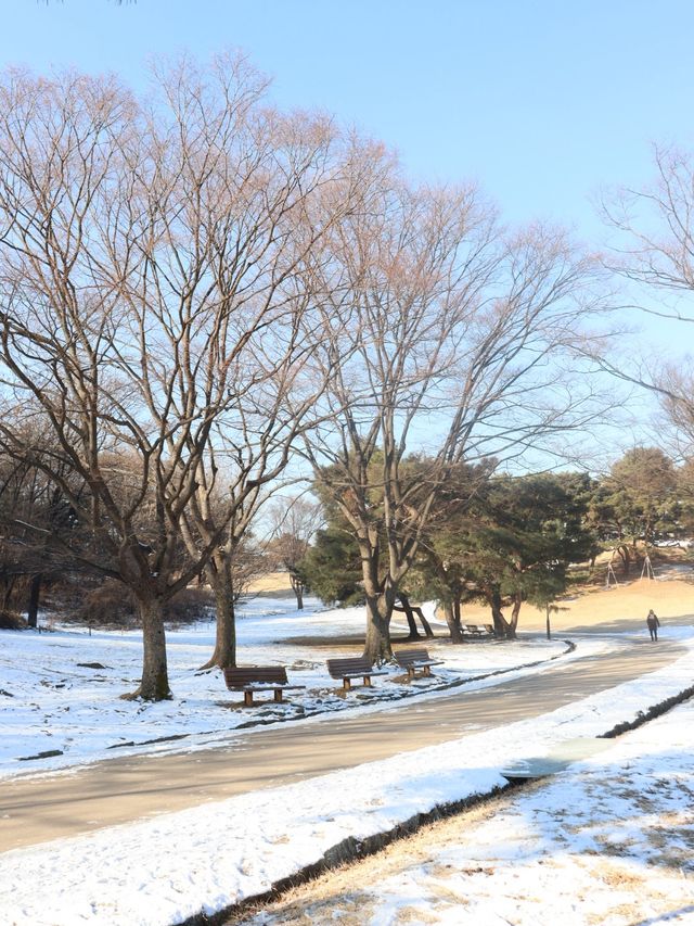 올림픽공원 나홀로나무 포토존