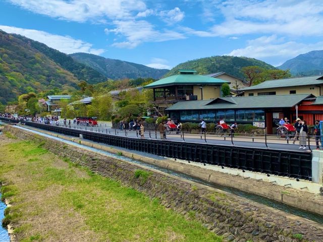 京都　KYOTO SAKURAめぐり❗️渡月橋から嵐山公園中之島地区まで散策してみた！
