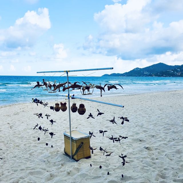 หาดทรายขาว น้ำทะเลใส