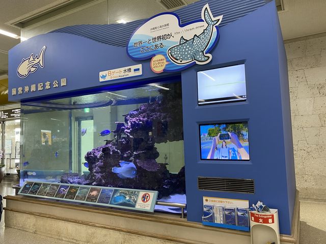 南国ムード漂う那覇空港
