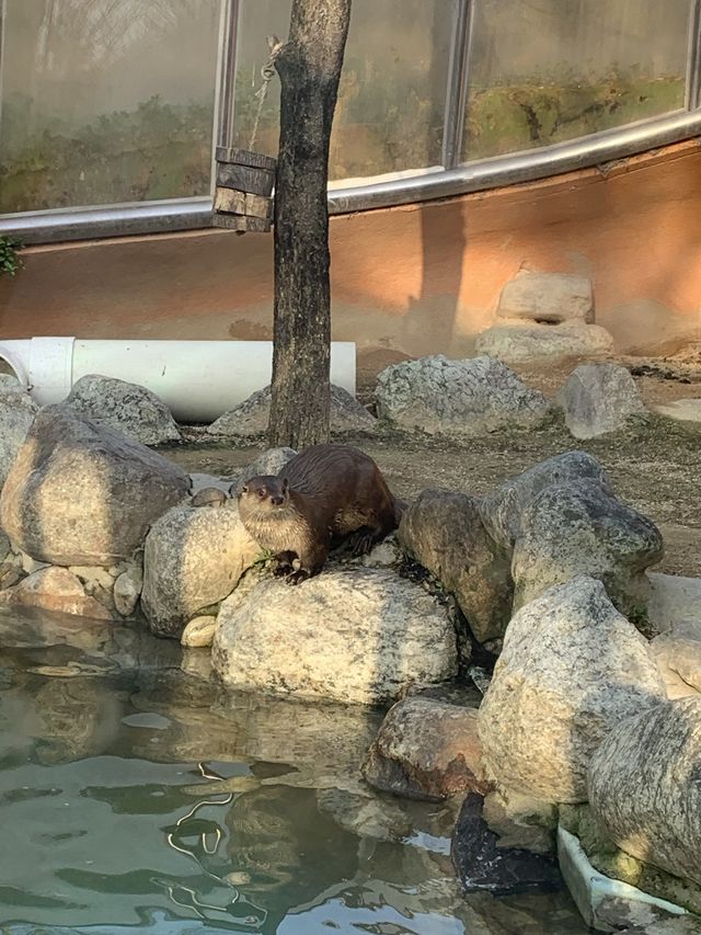 볼거리 가득👀 서울대공원 동물원 🐻