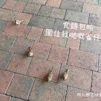 迪欣湖