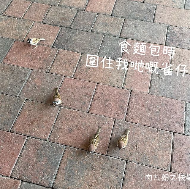 迪欣湖