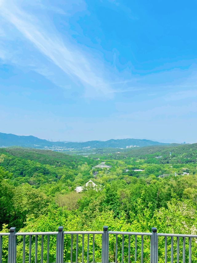 청계산에서 만난 멋진 전망대
