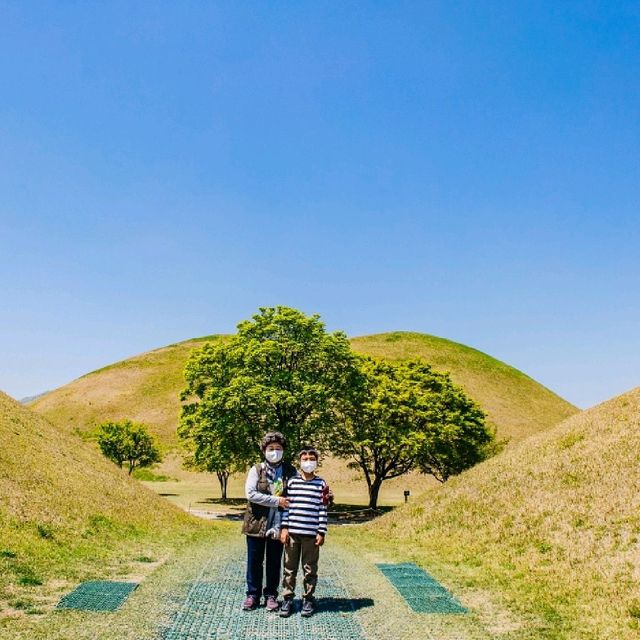 사진 찍기 좋은 경주 유적지 대릉원