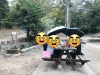 輕輕鬆鬆行行家樂徑