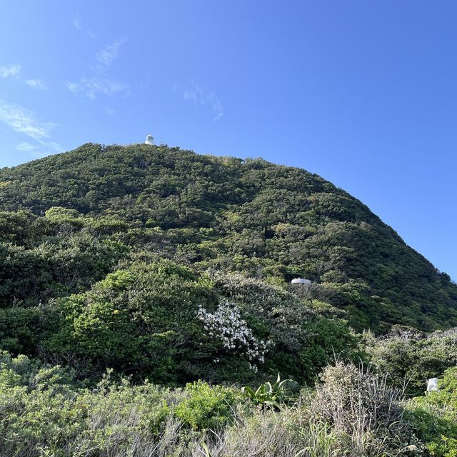 【高知】絶景スポット✨室戸岬