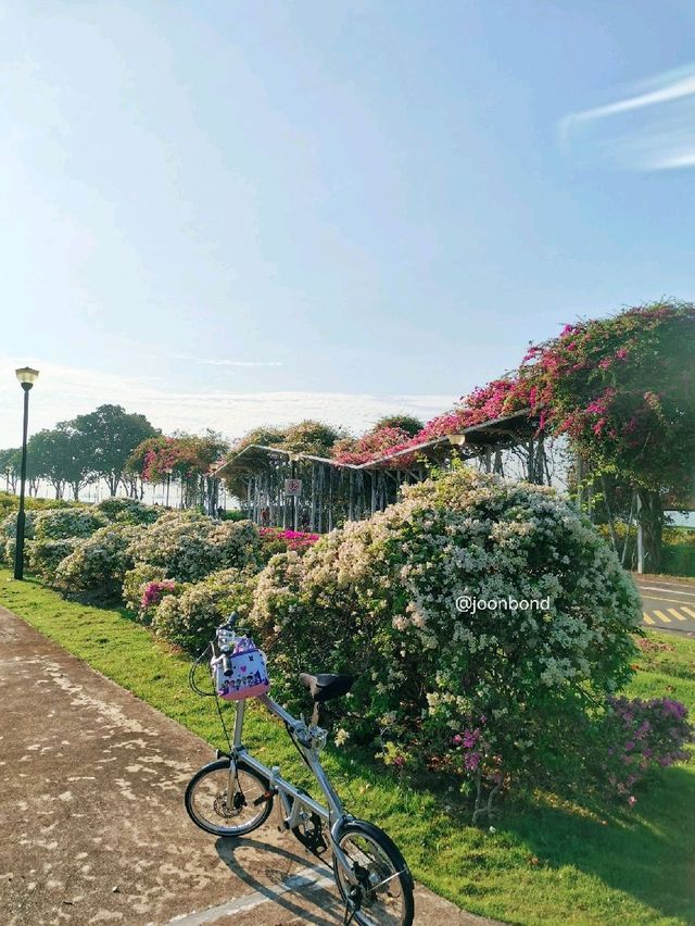 Morning Cycling @East Coast Beach Park