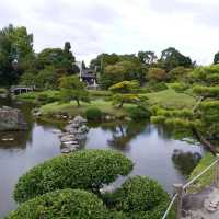 綠悠悠的公園🌳🌳🌳