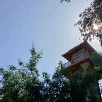 A should visit place in Nha Trang