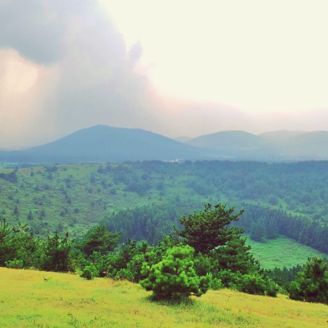 ⛰️ 시원한 여름오름! 오르는건 금방~ 전망은 최고, 아부오름