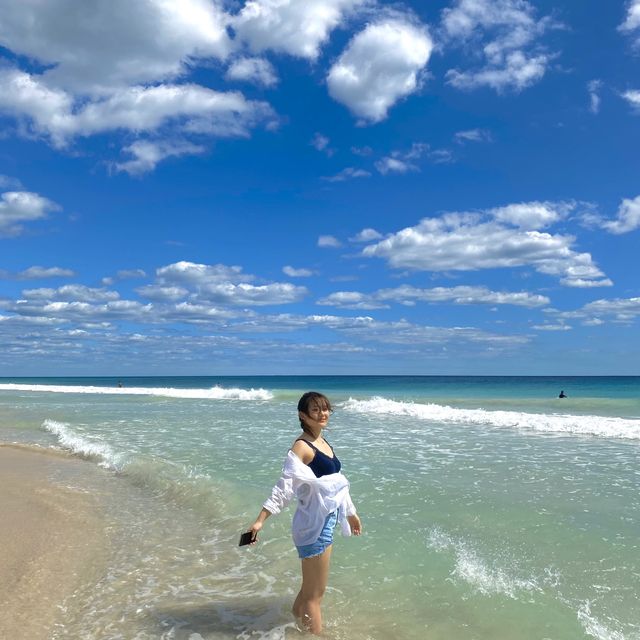 서호주 퍼스의 푸른바다 스카보로비치🐬