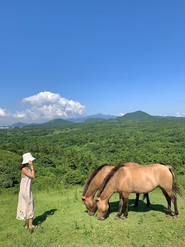 제주 오름 “문도지 오름”
