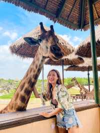 🌴曼谷的小非洲🦒