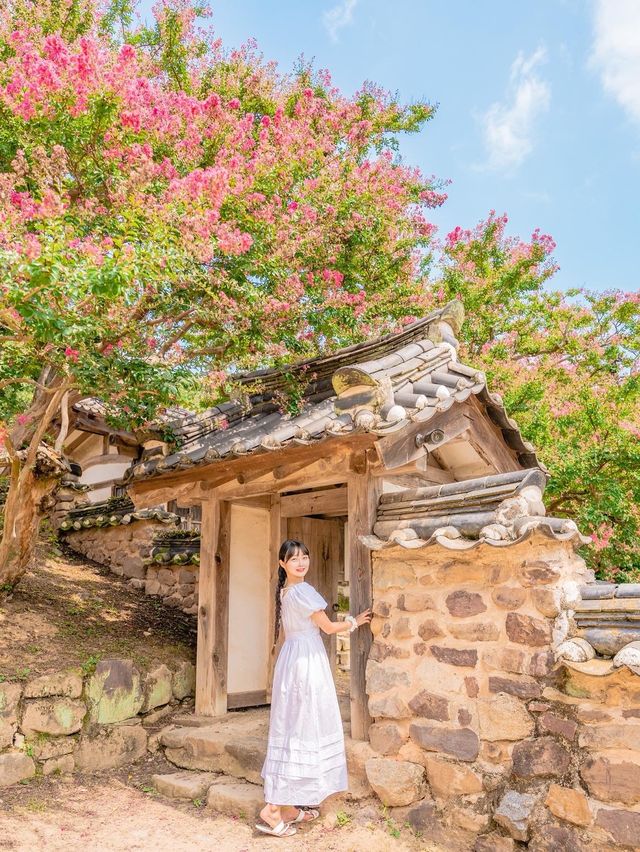 안동을 아직도 안 가봤다고?  