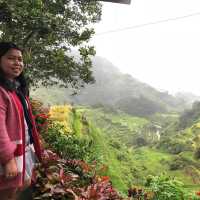 Banaue Rice Terraces 