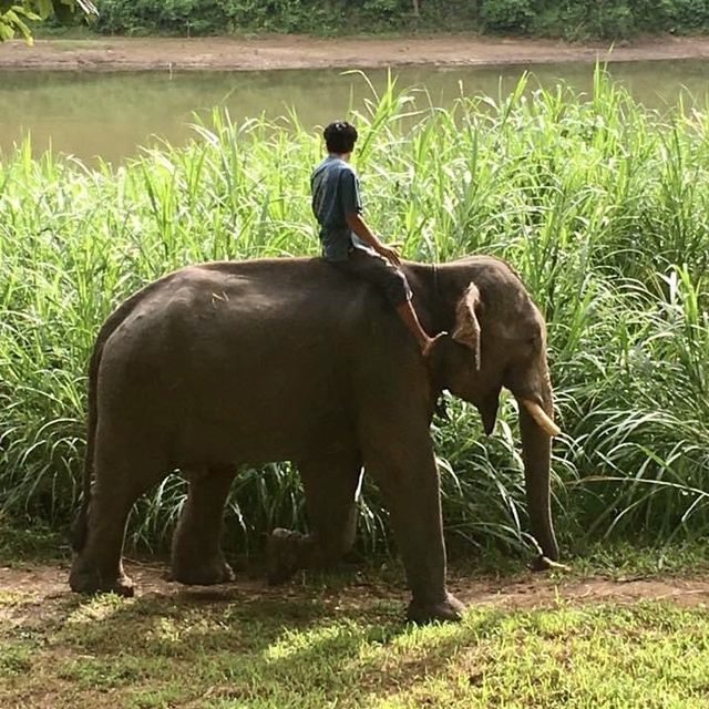 Visiting Elephants camp 
