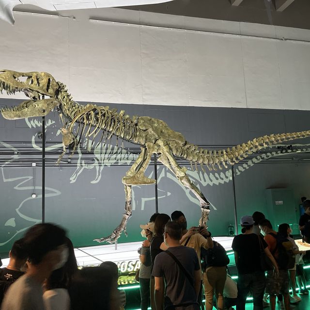 恐龍🦖暑日之旅