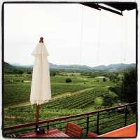 Monsoon Valley Vineyard HuaHin