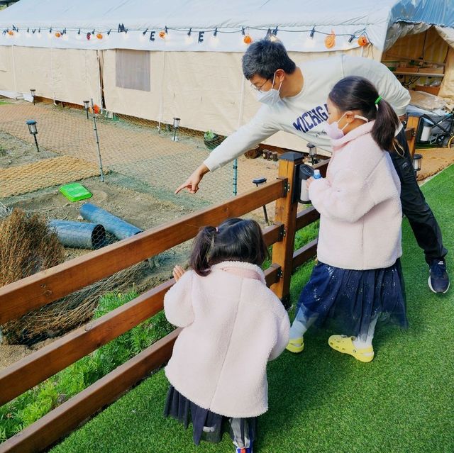 성주 카페노랑 할로윈이 찾아왔어요