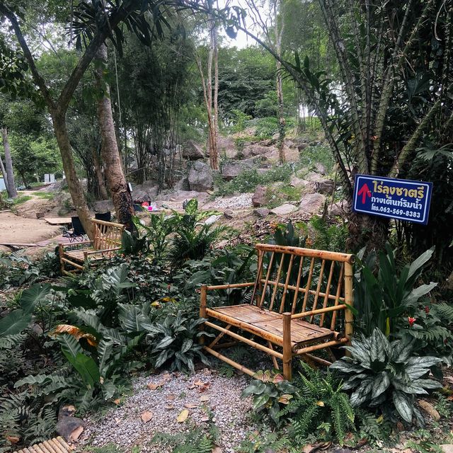 ไปแคมป์ 2 วัน 1 คืนที่ราชบุรี๊🌳🏕