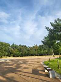 경주 대신 충남 아산에 있는 현충사 가기!
