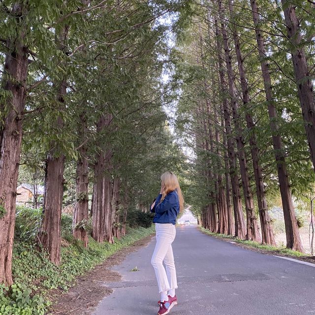 풍산개의 매력에 빠질 수 있는 곳