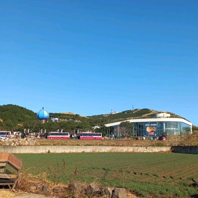 우도~!!신상 훈데르트바서파크!!