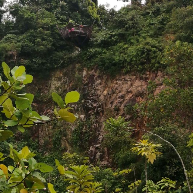 新加坡武吉知马山 城市中的大自然