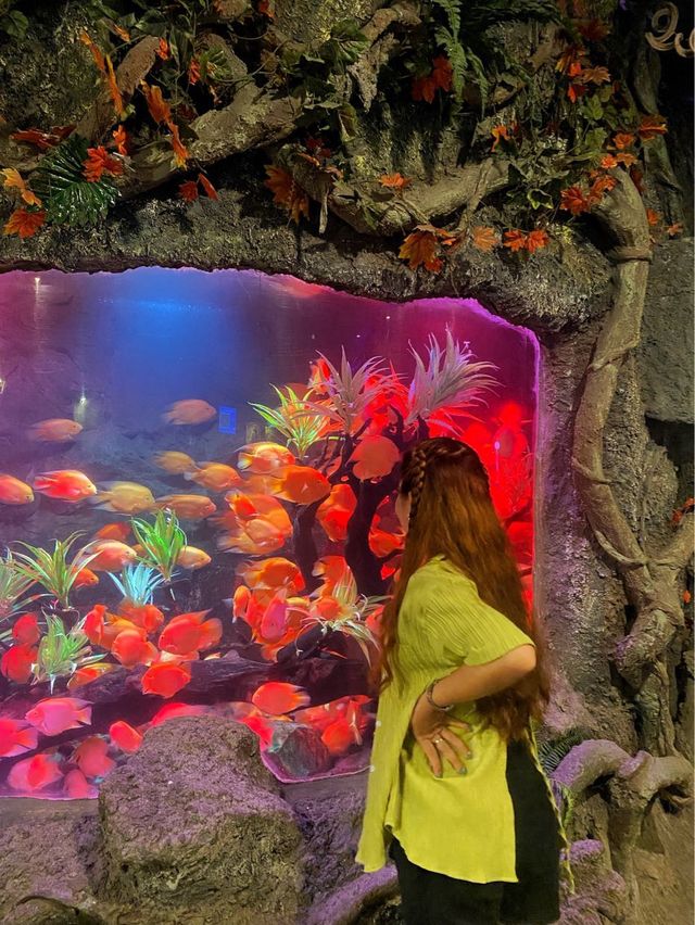 VinWonders Nha Trang