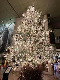 서울에서 제일 예쁜 트리가 있는 그랜드 하얏트🎄