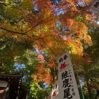 日本 最美的還是風景🍁🌼🗻