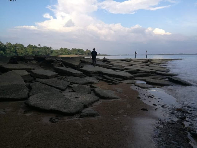 สุสานหอย 75 ล้านปี