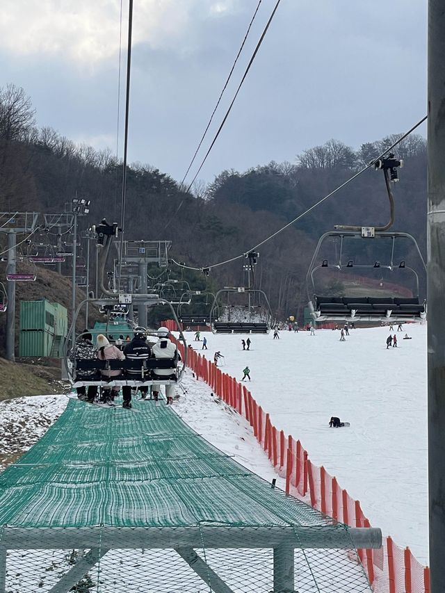 보드 초보도 즐기기 좋은 홍천 비발디파크🏂 