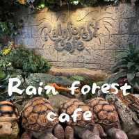 Rain forest Cafe レインフォレストカフェ