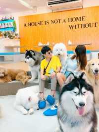Husky House Cafe ชลบุรี
